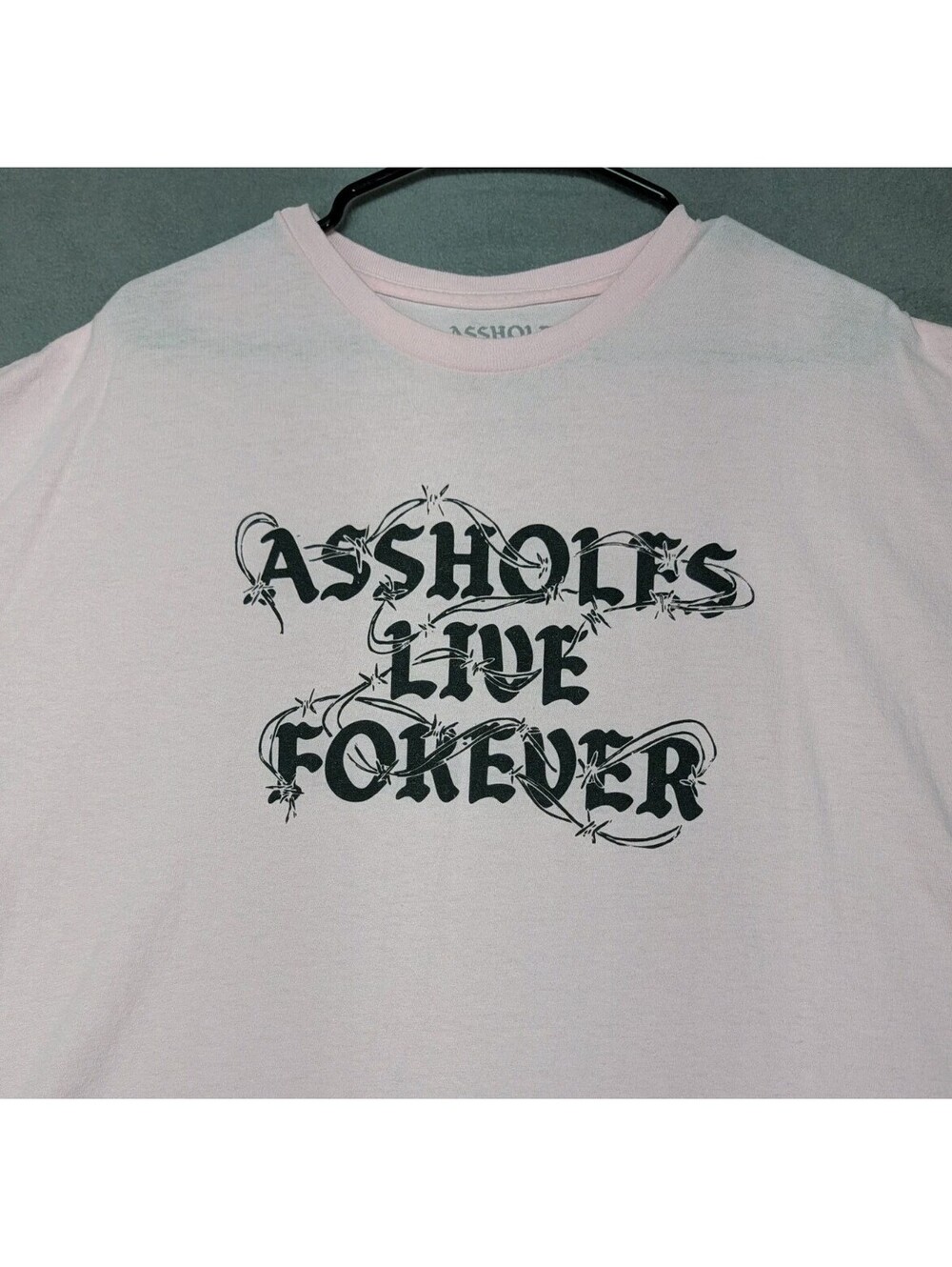 Aholes Live Forever ALF Mens 3XL Pink Barbed Wire Graphic Streetwear Crew Neck